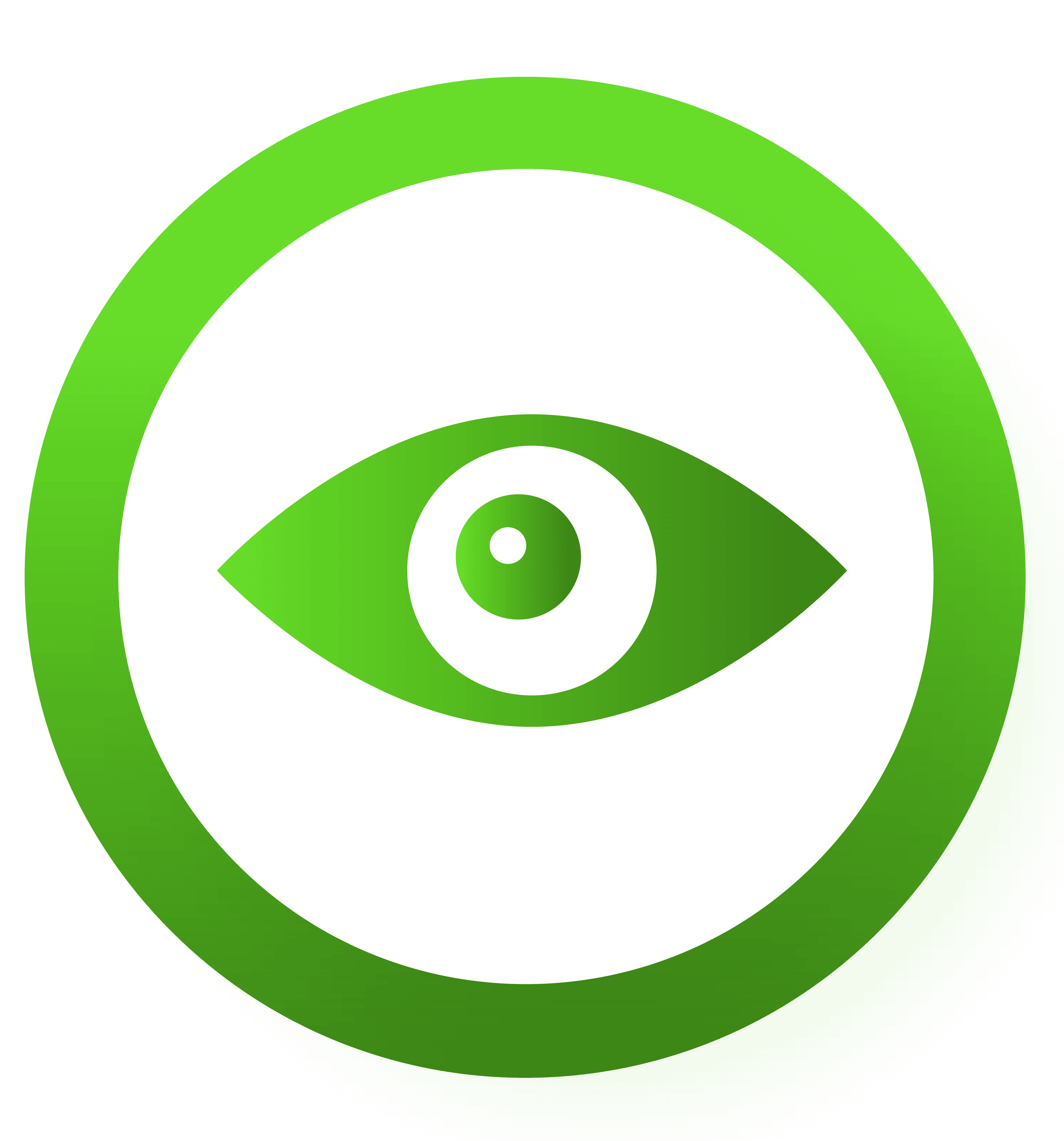 vision