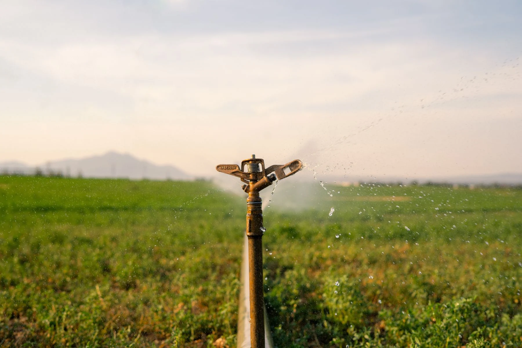 Irrigação em uma lavoura